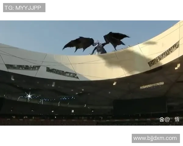 探秘杨丽成功之道揭秘英雄联盟S15赛季背后的故事与策略